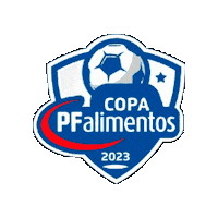 Chile Huechuraba Sticker by LincolnCollegeChile