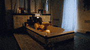 I Dont Wanna Be Famous GIF by NNAMDÏ