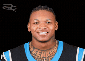 Carolina Panthers GIF by Respective