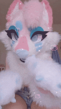 Furry GIF