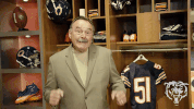 chicagobears  GIF