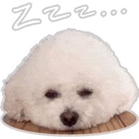 xatsuko_olivex dog sleepy bichon bichon frise Sticker