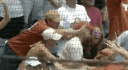 Baseball College GIF by NCAA Championships