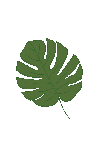 TheLifeUpdate giphyupload plant leaf leaves Sticker