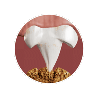 Whimzees Sticker by Wellness Pet