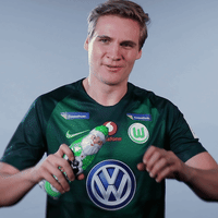 fifa 18 football GIF by VfL Wolfsburg
