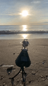 Audio Field Recording at Sunrise Recording The Oce