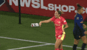 Explain Womens Soccer GIF by National Women's Soccer League