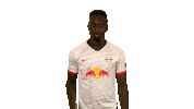 Talking Call Me Sticker by Bundesliga