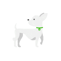 Happy Chi Chi Sticker by Quore