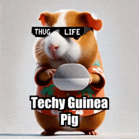 Guinea Pig Technology GIF by Guinea Gambino