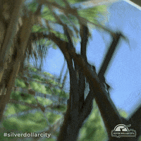 silverdollarcity driving ride roll on my way GIF