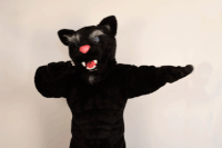 hanover college dab GIF
