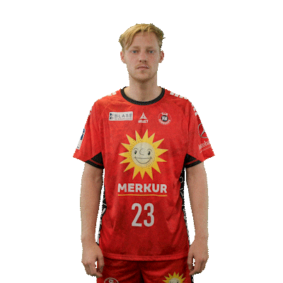 Handball Sticker by DAIKIN HBL