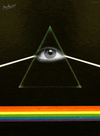 modern art pepe GIF by PEEKASSO