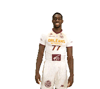 Sport Orleans Sticker by OLB