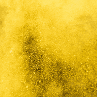 TheRICHWorld money rich richard wealth GIF