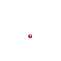 Rose Spring Sticker by Ostfriesland