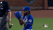 Happy Ny Mets GIF by New York Mets