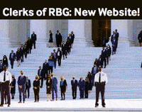 clerksrbg raphael warnock jon ossoff elections 2020 david perdue GIF