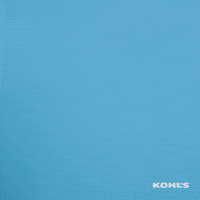 kohls money easter cash easter bunny GIF