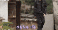 Steelo GIF