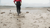 Fall Down Korean Drama GIF by The Swoon
