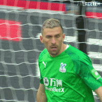 Premier League Fist Bump GIF by CPFC