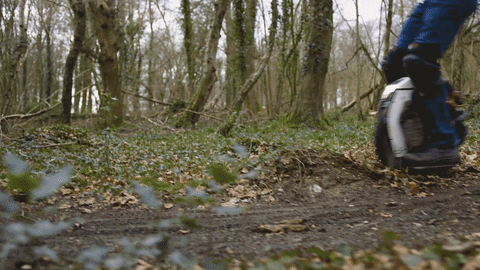 GIF by Ride + Glide