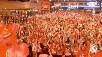 Super Bowl Football GIF by NFL