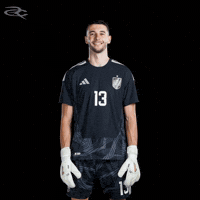 Fifa World Cup Spain GIF by Respective