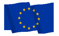 European Flag Sticker