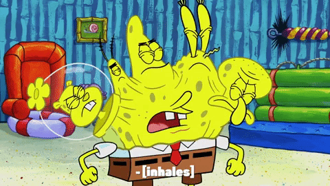 season 10 episode 3 GIF by SpongeBob SquarePants