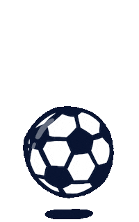 Euro 2024 Football Sticker