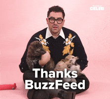 Dan Levy Puppy GIF by BuzzFeed