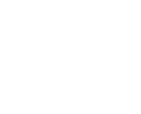 Moon Luna Sticker