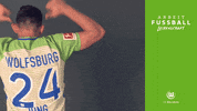sebastian jung celebration GIF by VfL Wolfsburg