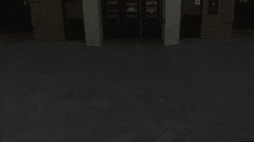 College Florida GIF by TiTi Talks