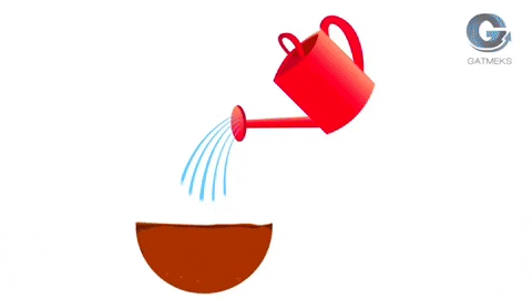 Gatmeks giphygifmaker agua plantas agronomia GIF