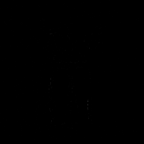 PaperFlowerFR gif artist fleur lunaire bocal de fleurs paillettes GIF