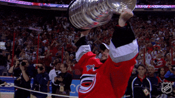 Stanley Cup Hockey GIF by NHL