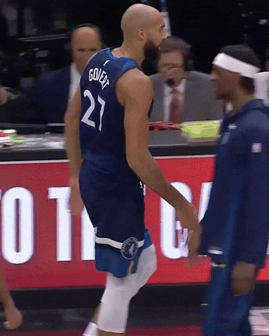 Nba Rudygobert GIF by Minnesota Timberwolves