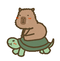 Turtle Capybara Sticker by yomoyeah