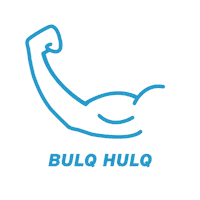 BULQ bulq bulqwholesale bulqhulq bulqunboxed Sticker