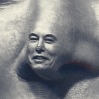 Elon Musk Twitter GIF by Feliks Tomasz Konczakowski