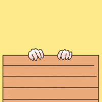 Licht Guineapig GIF