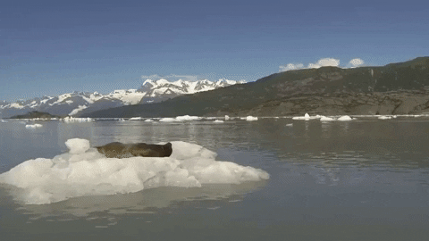funny GIF by JustViral.Net