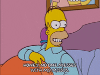 defend homer simpson GIF