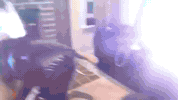 GIF by Rohit Gijare