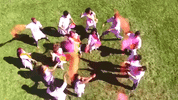 Happy Holi GIF by Rohit Gijare